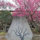 동화사 이미지