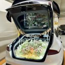 플로라 | 트렁크 프로포즈 후기｜플로라정원에서 준비한 감동 이벤트