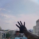 칼새빌리어드 이미지