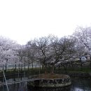 배산공원 주차장 이미지