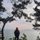 한들농장 | [걷기] 여자도 (여수)