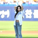 초원 이미지