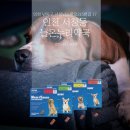 늘온누리약국 이미지