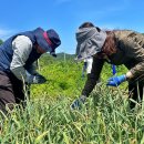 전북특별자치도농업기술원 이미지