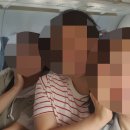 도도킹코리아 이미지