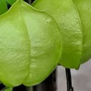 우름바위 이미지