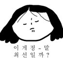 플릭(fleek)