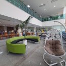 아우내도서관 이미지