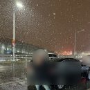 위키키즈골프 | 일본 구마모토 4박 5일, 1일차 (도미인 구마모토 / 카츠레이테이 신시가이본점 / 쿠마몬 스퀘어...