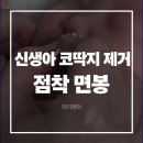 코딱지 | 신생아 아기 코딱지 제거 마더케이 점착면봉 후기