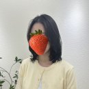 회기 미용실, 플랜에이치 회기점 수민쌤 허쉬컷 단발 대성공💇‍♀️✨