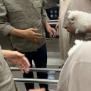 부천 동물심장 내과 건강검진센터 이미지