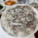청정막썰이회센타
