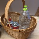 세븐일레븐 울산매곡휴먼시아점 | 경주 양남면 새로 오픈한 글램핑 - 리틀 포레스트 풀글램핑 / 내돈내산 찐 후기