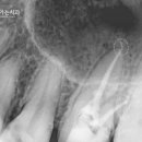 서울동그라미치과의원 이미지