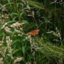 주정차-40 이미지