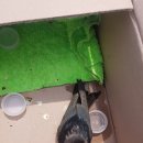 주덕보건지소 이미지