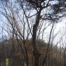 가평청평청평-1 이미지