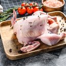 참조은유통 이미지