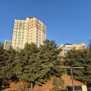 중앙동177 이미지