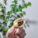 공차청라엑슬루