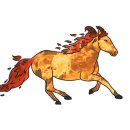 빛가온유치원