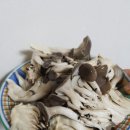 박종애농장 이미지