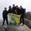 금양주유소 이미지