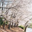 백석역 자전거 주차장 이미지