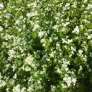 국립공원관리사무소 이미지