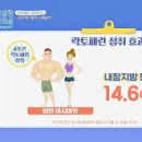 락토페린 효능 안좋은점 주의사항 복용법 이미지