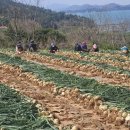 하나로할인마트 이미지