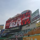 순살싸다리치킨 SSG랜더스필드점 이미지