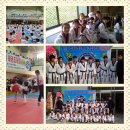 용인대노원태권도체육관 이미지