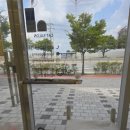 무마취 고양이 미용실 반할고양 | 김포고양이미용 무마취로 믿고 맡길 수 있는 무마취고양이미용실반할고양