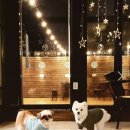 루프독 1027 네이버블로그