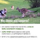 맘스마인드 트레이딩 이미지