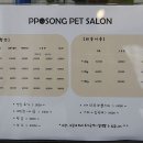 뽀송 펫 살롱 이미지