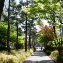 효창공원앞역 경의선숲길 입구 이미지