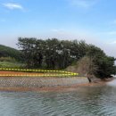 뉴다원에셋부동산중개주식회사 이미지