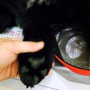 수타명장 이미지