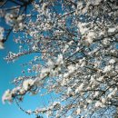 다락방 민박 이미지