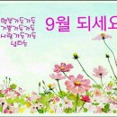 서삼초등학교 이미지