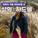 [뭐라도학교]쉘위훌라 | 개복치의 겨울 레이어링 ③ : 겨울 등산 상의의 추천｜Rab 파이어월 알파인 자켓 실사용 후기