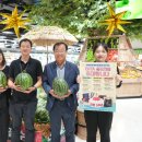 춘천농협농수산물종합유통센터 이미지