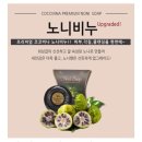 코코비나 이미지