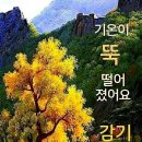 11월 8일 수요일 간추린 아침뉴스 이미지