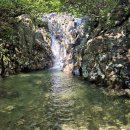 527차 7월 25일 (토) 천성산 법수원계곡 산행 이미지