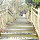 거북 | 북한산 둘레길 7구간 옛성길을 따라 걷는 산책 코스 후기
