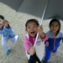 정일농장 이미지